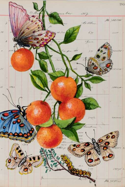 Thomas Gatzemeiers Grafik Früchte und Falter vereint Falter mit Orangen auf einem Kontopapier. Malerei feinster Art in eine Grafik umgesetzt.