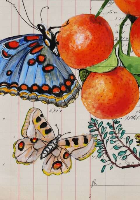 Die Grafik von Thomas Gatzemeier Falter und Früchte hat leuchtende Farben und detailliert gemalte Schmetterlinge in der Tradition von Sybilla Merian.