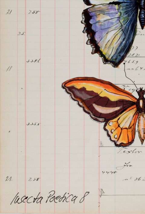 Diese Aufnahme von den Schmetterlingsbild von Thomas Gatzemeier Insecta Poetica 8 Detail 4 zeigt den vom Künstler aufgebrachten Titel.