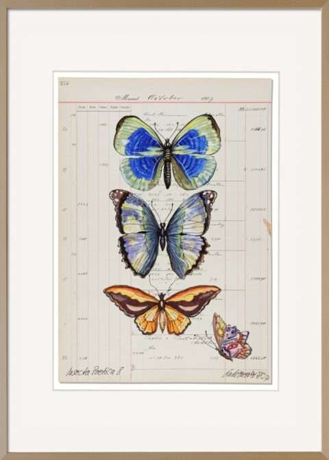 Thomas Gatzemeier – Insecta Poetica 8 : Filigrane Schönheit