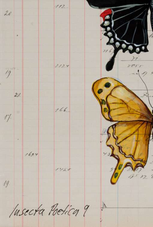 Poetische Insektenkunst von Thomas Gatzemeier Insecta Poetica 9 aus dem Zyklus Sammelsurium zeigt Schmetterlinge auf Kontopapier.