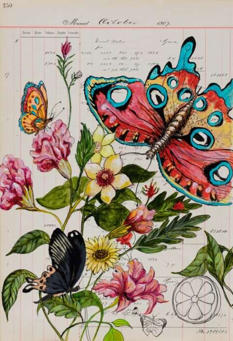 Natur Bilder kaufen – Thomas Gatzemeier Hibiskus Grafik mit Schmetterlingen auf altem Kontopapier. Ein sehr schönes künstlerisch gestaltetes Blatt auf antikem Kontopapier.
