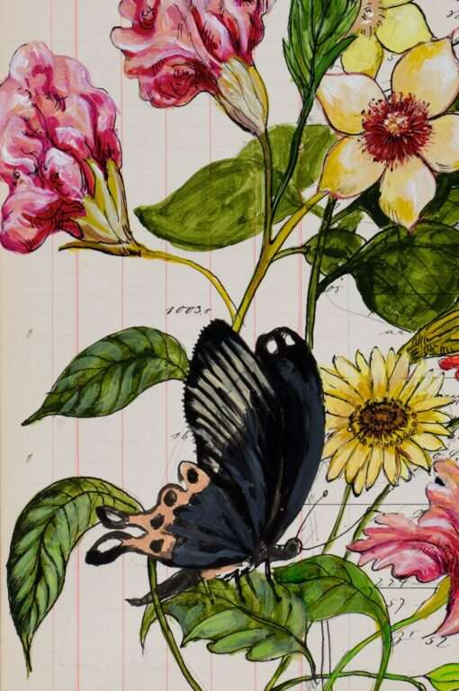 Thomas Gatzemeier Hibiskus ein Bild voller Schönheit über das sich jede Pflanzenliebhaberin freut. Hier die Blüte in Nahaufnahme.