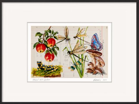 Thomas Gatzemeier „Herbst mit Libellen“ – offene Edition 30 × 40 cm mit Passepartout und Rahmen zur Auswahl, signiert vom Künstler. Kunst, die Ruhe schenkt – das ideale Geschenk für Naturliebhaberinnen und Liebhaber schöner Herbstbilder.