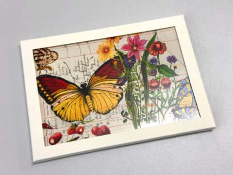 Weiße Sammelmappe mit 10 Postkarten aus dem Set Schmetterling Früchte von Thomas Gatzemeier, sichtbar ein großes gelb-rotes Schmetterlingsmotiv mit Blüten und Erdbeeren auf historischem Buchseiten-Hintergrund.