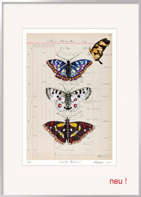 Grafik „Insecta Poetica 2 Edition“ von Thomas Gatzemeier mit vier Schmetterlingen auf historischem Tabellenblatt, gerahmt mit Passepartout im silbernen Aluminiumrahmen im Format 50 × 70 cm. Die Abbildung enthält den Schriftzug NEU und deutet auf das neue Erscheinen hin.