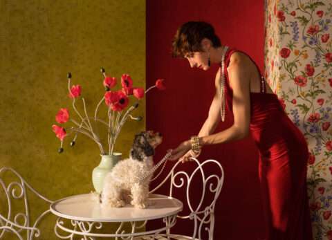 Künstlerische Fotografie mit Frau im roten Kleid und kleinem Hund auf weißem Metalltisch vor roten und floralen Wandflächen.