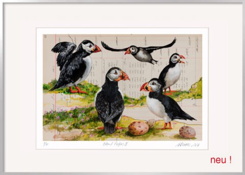 Großformatige Papageitaucher Grafik Island Puffins II von Thomas Gatzemeier mit Puffins und Eiern auf Island. Mit der Bezeichnung NEU für eine neue Arbeit des Künstlers.