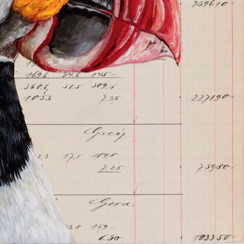 Detailaufnahme von Puffin Richard mit farbigem Schnabel vor historischen Handschriften und Buchungseinträgen auf Kontobuchpapier von 1902.