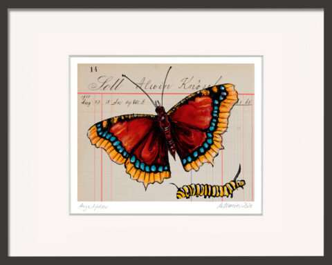 Kleines Kunstgeschenk Augustfalter von Thomas Gatzemeier im schwarzen Holzrahmen mit rotem Schmetterling und Raupe auf historischem Kontopapier.
