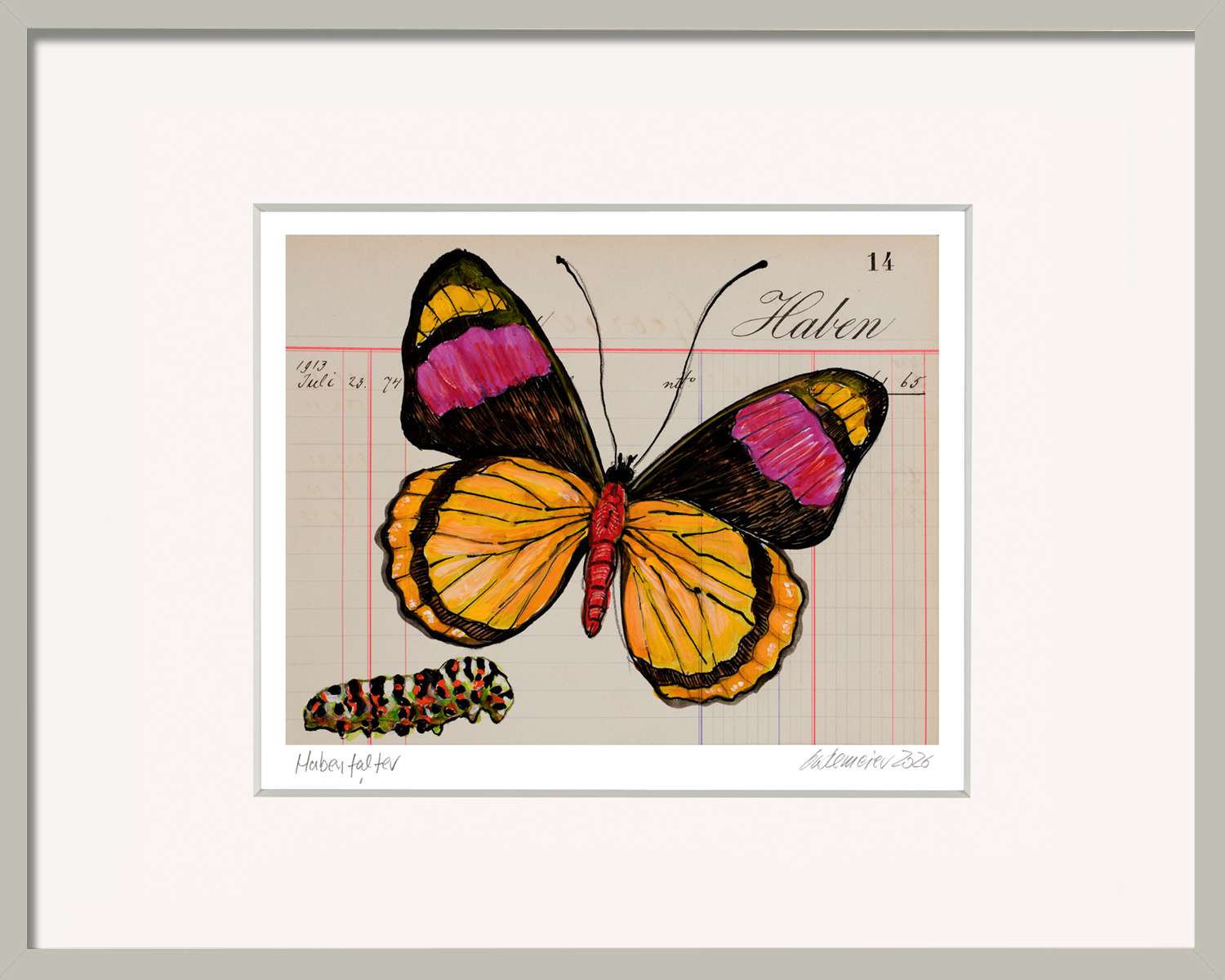 Bild mit Schmetterling Habenfalter von Thomas Gatzemeier im grauen Holzrahmen. Schmetterlingskunst auf historischem Papier.