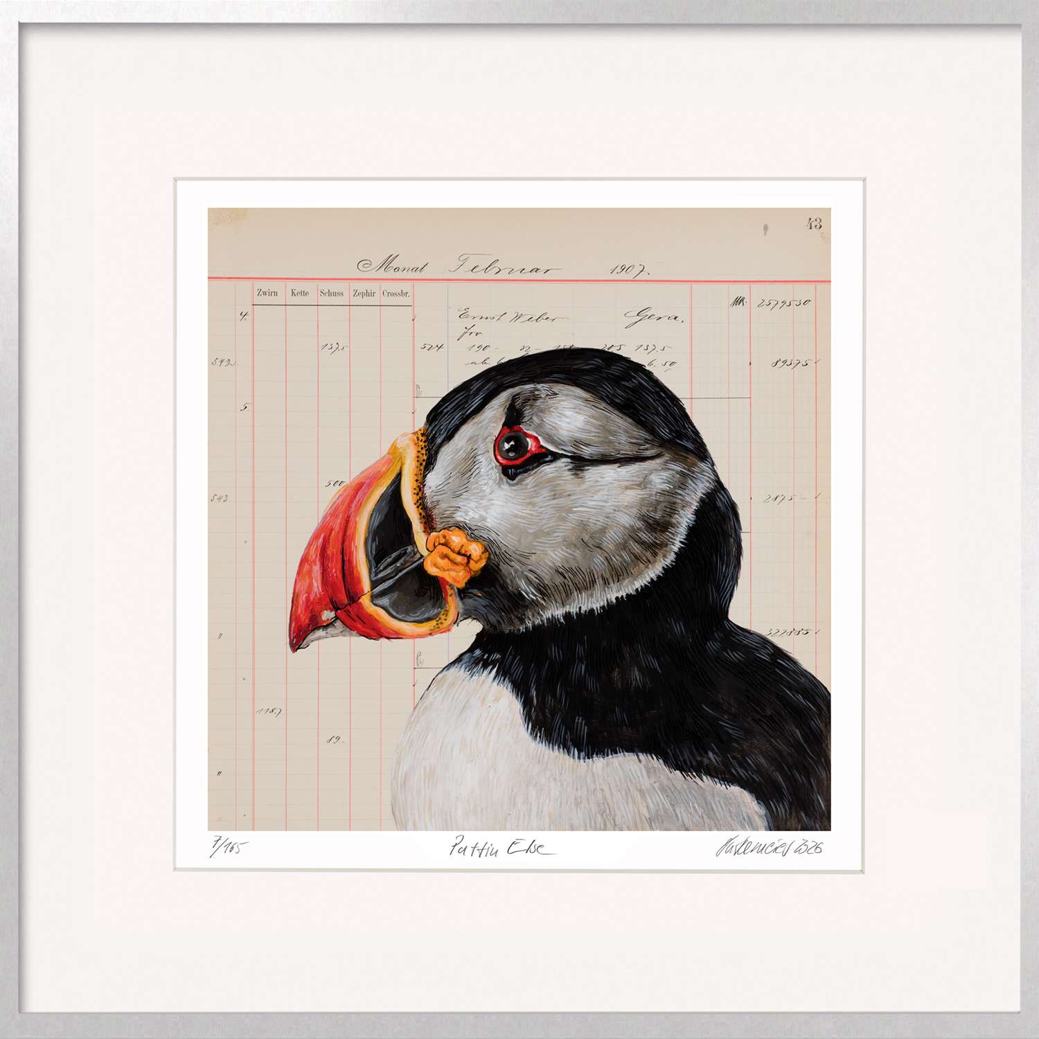 Thomas Gatzemeier | Puffin Else – Papageitaucher aus Island | Grafik