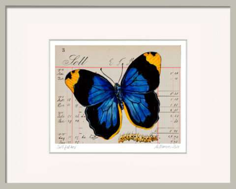Geschenk für einen Neuanfang mit blauem Schmetterling auf historischem Kontobuchpapier. Sollfalter von Thomas Gatzemeier im grauen Holzrahmen.