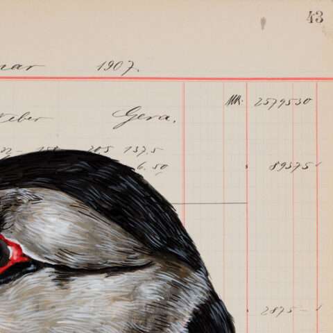 Detailansicht des schwarzen Hals- und Schultergefieders von Puffin Else. Grafik von Thomas Gatzemeier auf historischem Kontobuchpapier.
