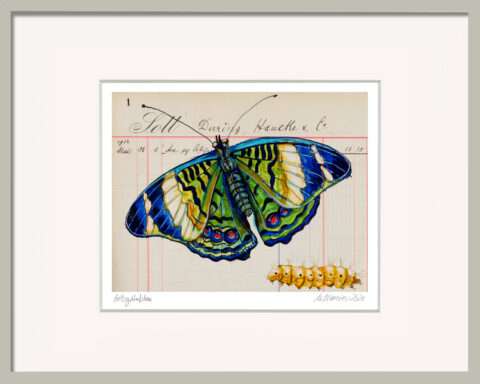 Kleines Kunstgeschenk mit Schmetterling „Gelbgrünblau“ von Thomas Gatzemeier im grauen Rahmen. Farbige Falterdarstellung mit Raupe auf historischem Papier.