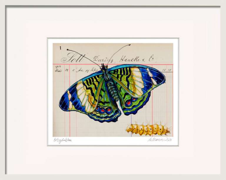 Handkolorierter Schmetterling Gelbgrünblau von Thomas Gatzemeier im weißen Rahmen mit Passepartout. Blau-grüne Falterdarstellung auf historischem Papier.